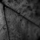 Illustration for article titled Shooting Challenge Freelensing Gallery 1